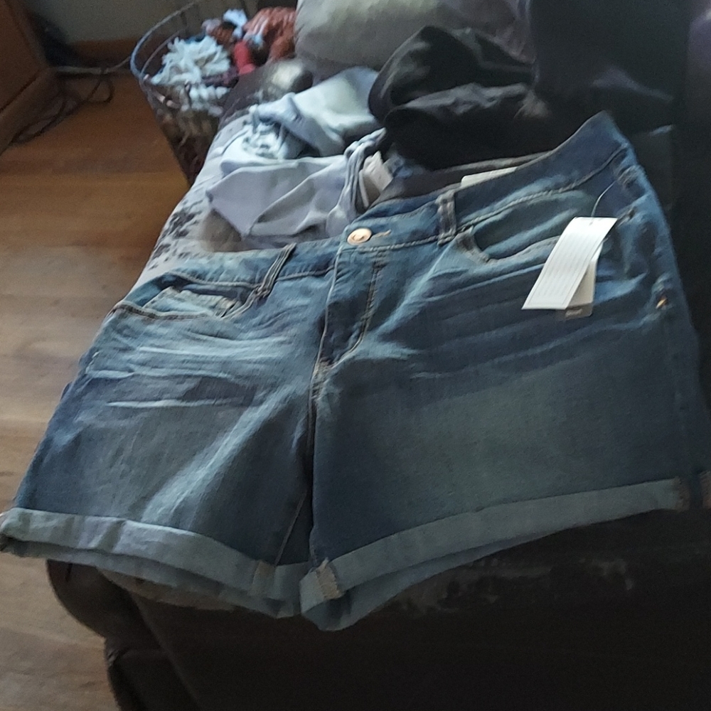 Time and Tru Shorts